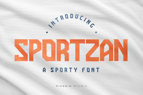 Choosing Sportzan for a Lifestyle Blog Redesign