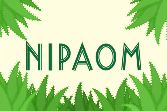 Nipaom Font Review: A Designer’s Take on a Versatile Display Typeface